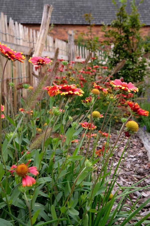 Ferienwohnung Mohnblume Pulzig Экстерьер фото